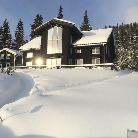 Villa Edvinsvaeg 8 Åre Buitenkant foto