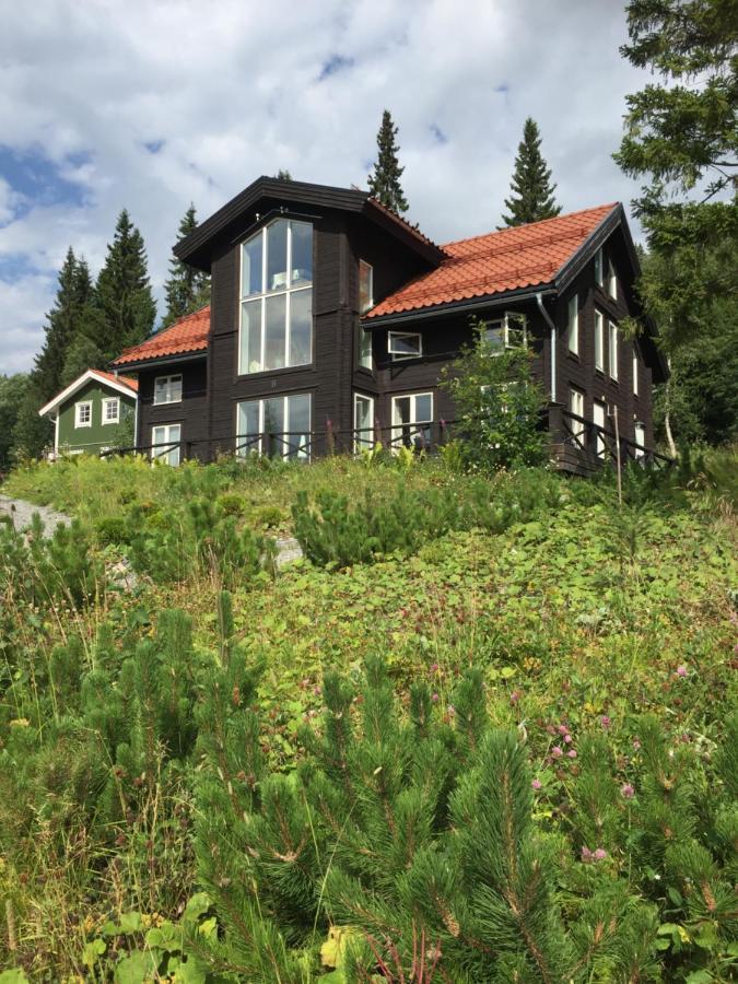 Villa Edvinsvaeg 8 Åre Buitenkant foto