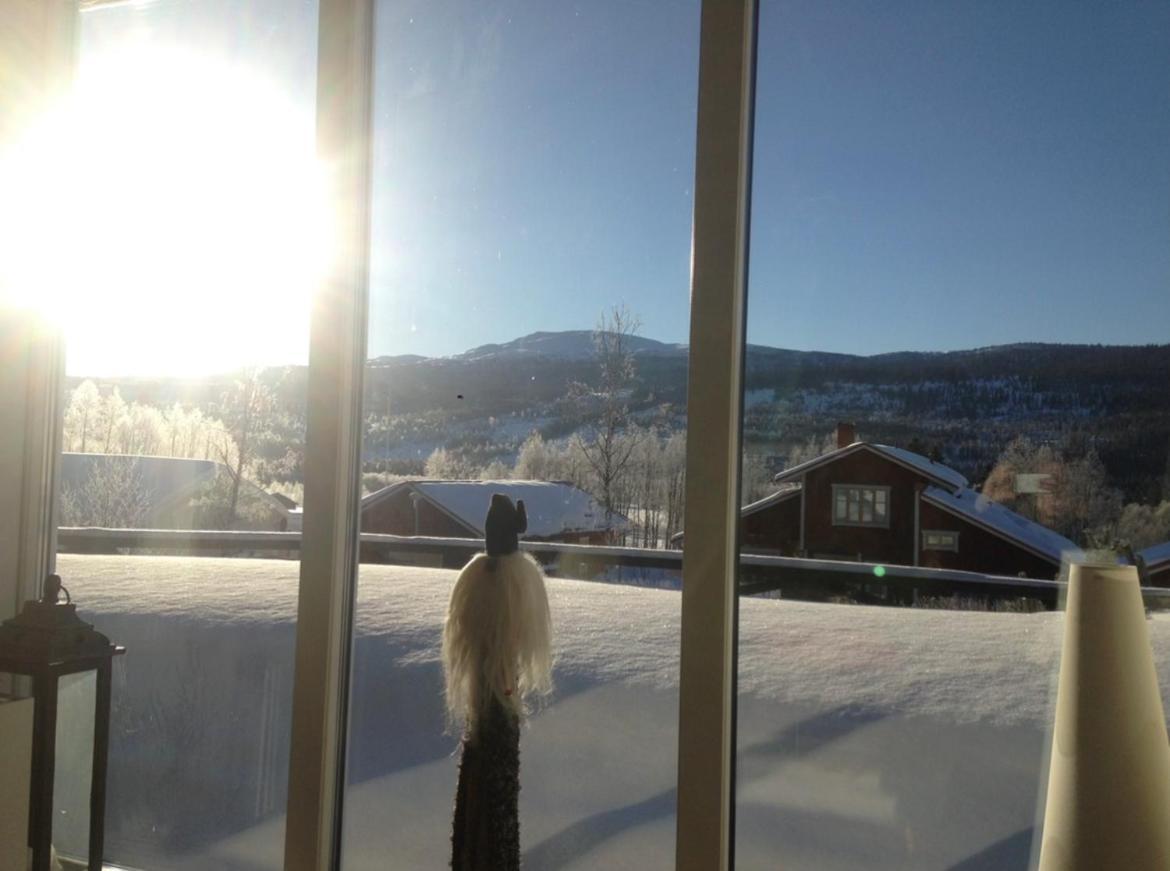 Villa Edvinsvaeg 8 Åre Buitenkant foto