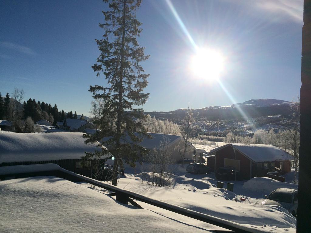 Villa Edvinsvaeg 8 Åre Buitenkant foto